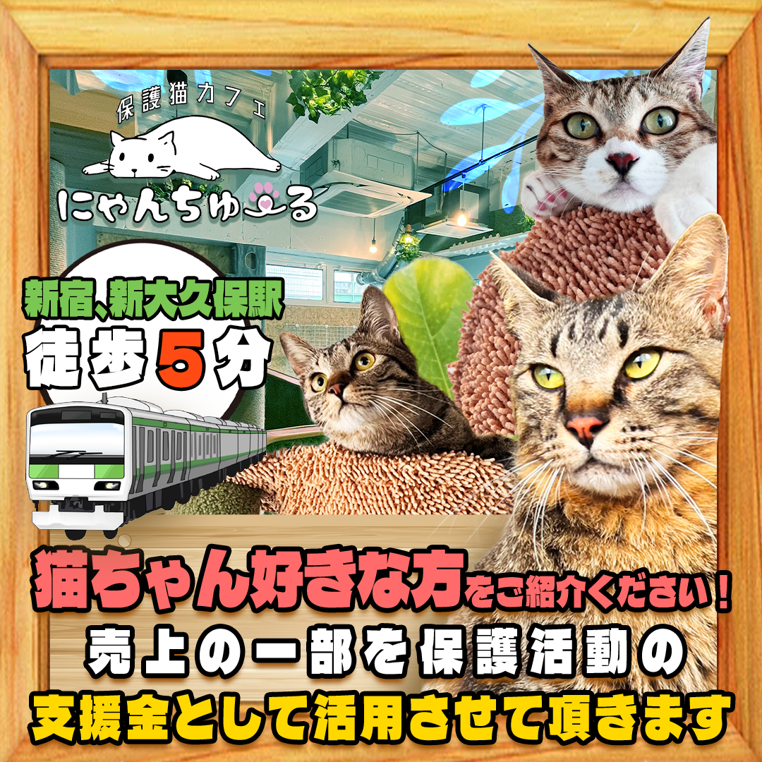 にゃんちゅ〜る【保護猫カフェ】