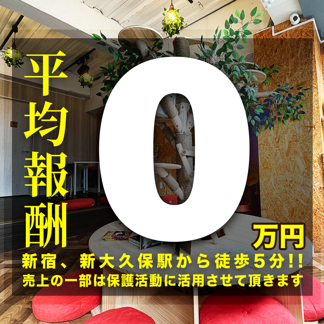 にゃんちゅ〜る【保護猫カフェ】